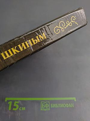 Рядом с Пушкиным. Портреты кистью и пером