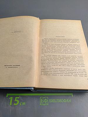 Пелле-завоеватель