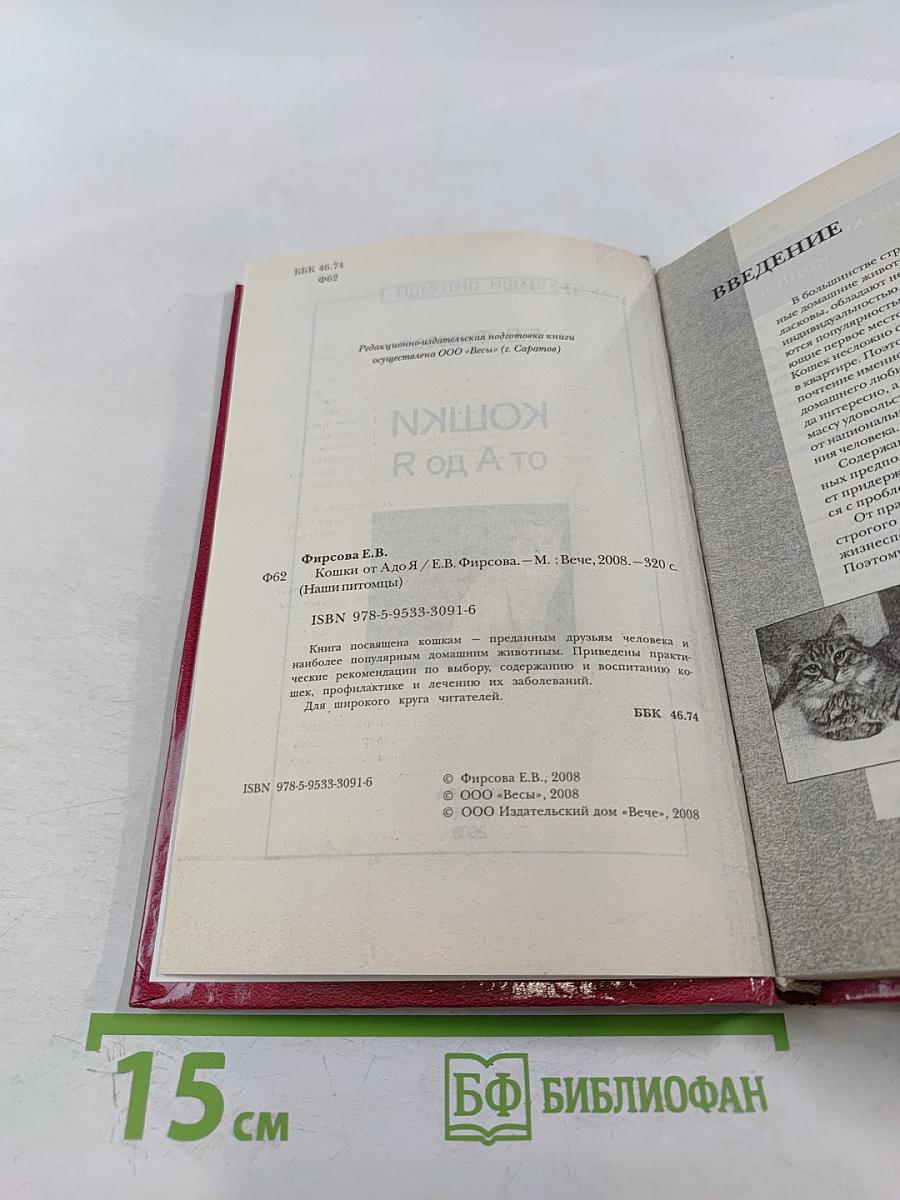 Кошки от А до Я