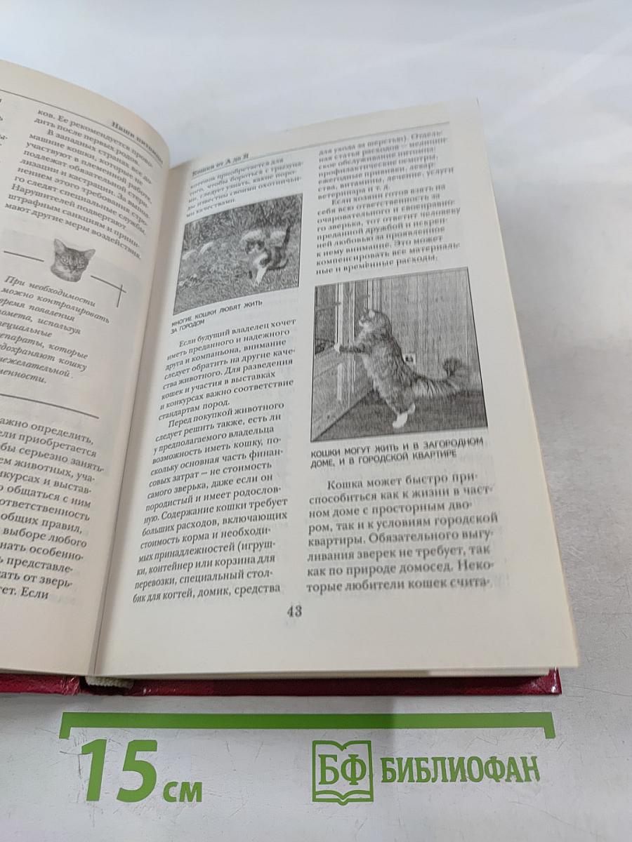 Кошки от А до Я