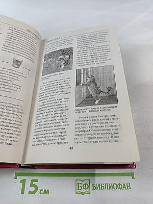 Кошки от А до Я