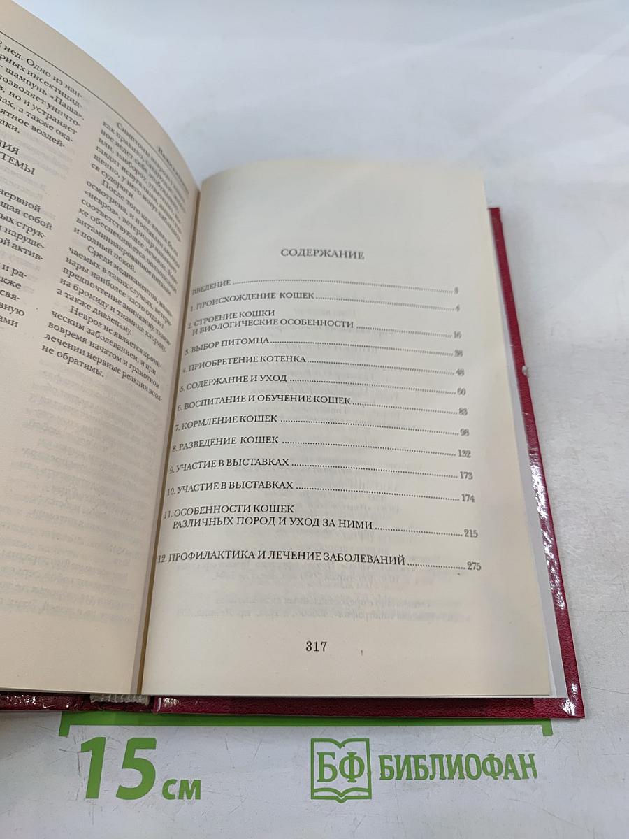 Кошки от А до Я