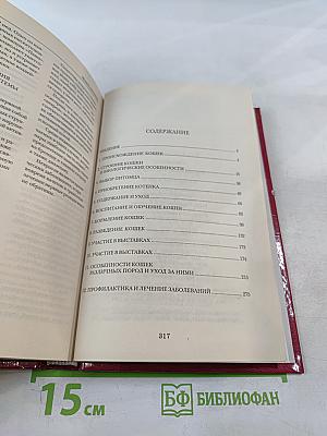 Кошки от А до Я