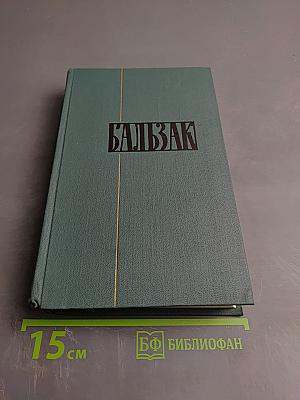 Человеческая комедия. Сцены провинциальной жизни. Том 6
