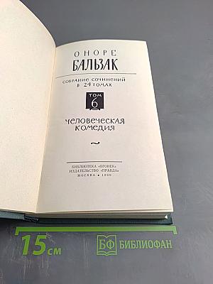 Человеческая комедия. Сцены провинциальной жизни. Том 6