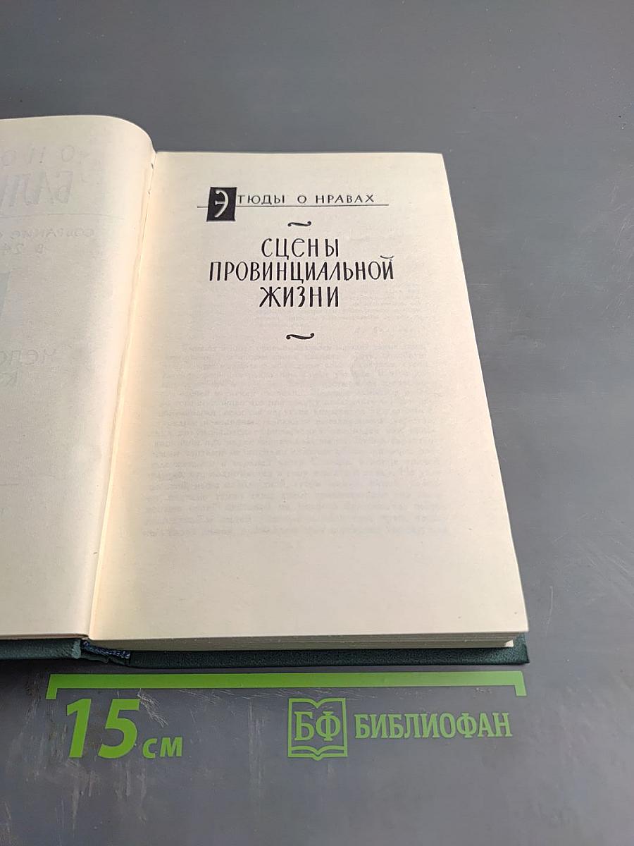 Человеческая комедия. Сцены провинциальной жизни. Том 6