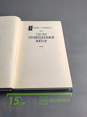 Человеческая комедия. Сцены провинциальной жизни. Том 6