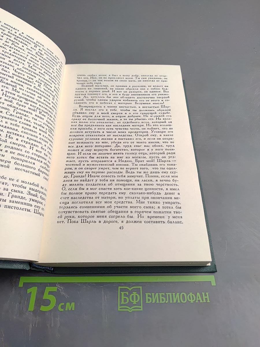 Человеческая комедия. Сцены провинциальной жизни. Том 6