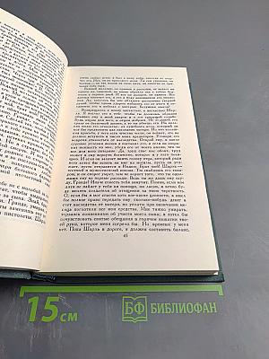 Человеческая комедия. Сцены провинциальной жизни. Том 6