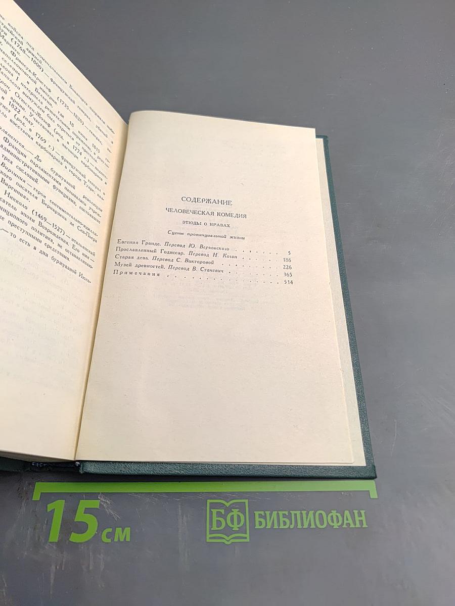 Человеческая комедия. Сцены провинциальной жизни. Том 6