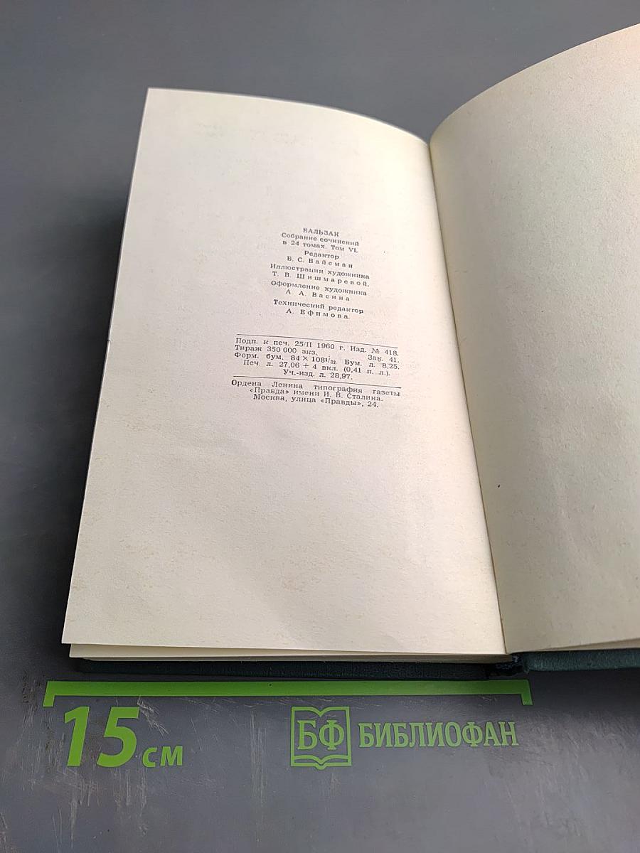 Человеческая комедия. Сцены провинциальной жизни. Том 6