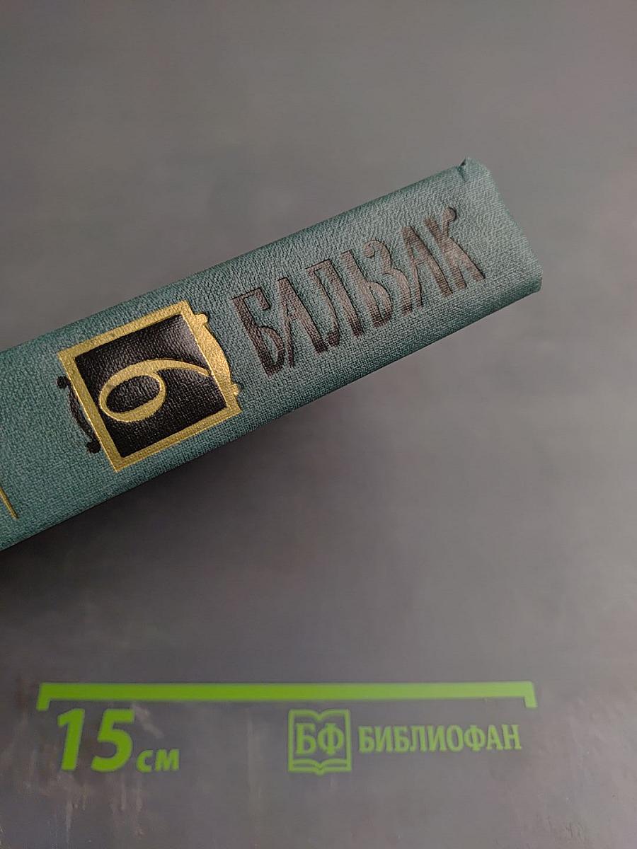 Человеческая комедия. Сцены провинциальной жизни. Том 6