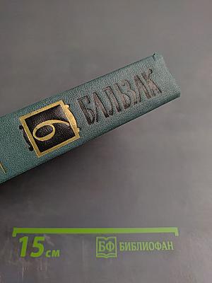 Человеческая комедия. Сцены провинциальной жизни. Том 6