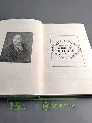 Повести о Федоте Шубине. Повесть о Воронихине