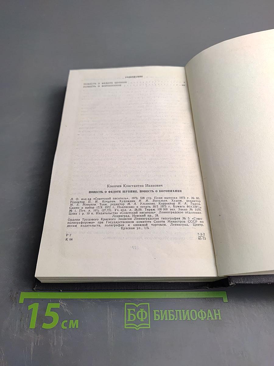 Повести о Федоте Шубине. Повесть о Воронихине