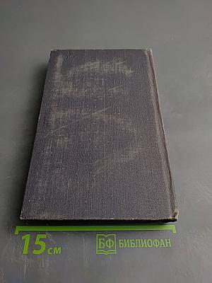 Повести о Федоте Шубине. Повесть о Воронихине