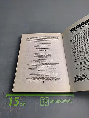 Черновик Беса