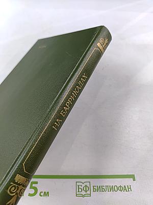 На баррикадах. Воспоминания участников революции 1905-1907 гг. в Петербурге