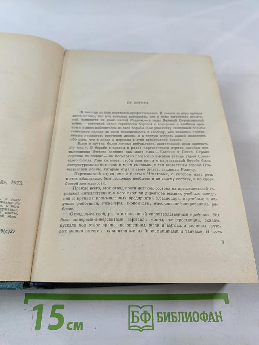 Записки партизана