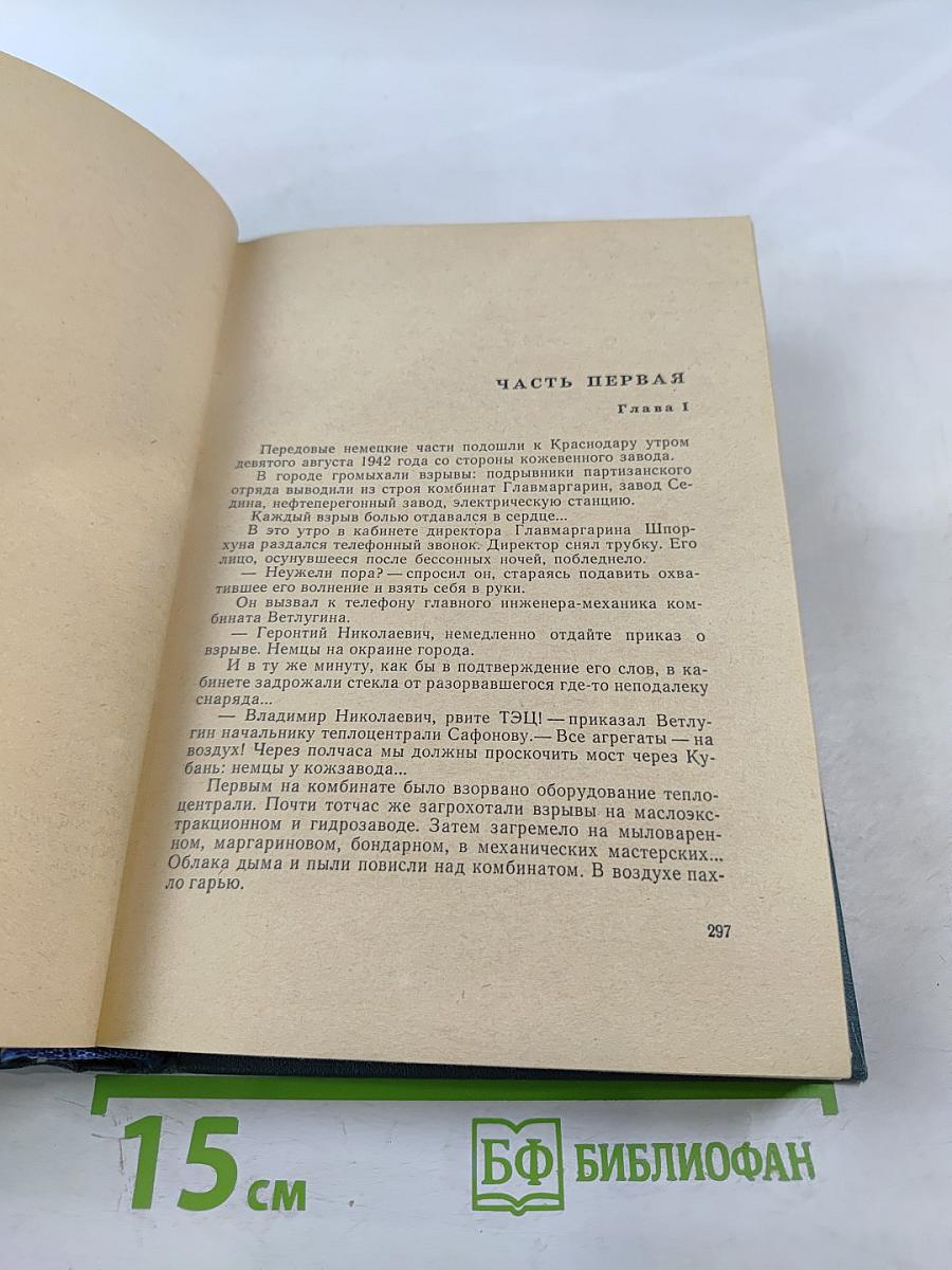 Записки партизана