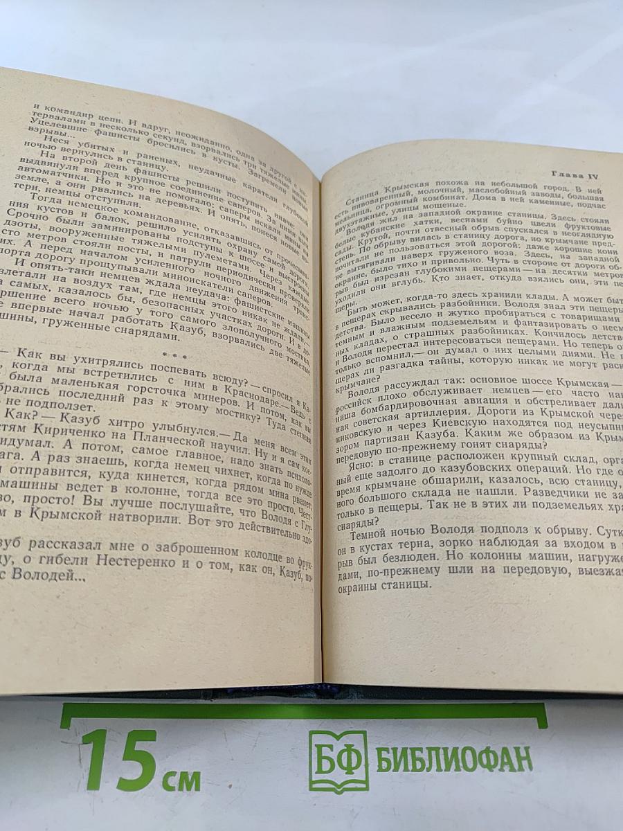 Записки партизана