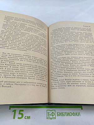 Записки партизана