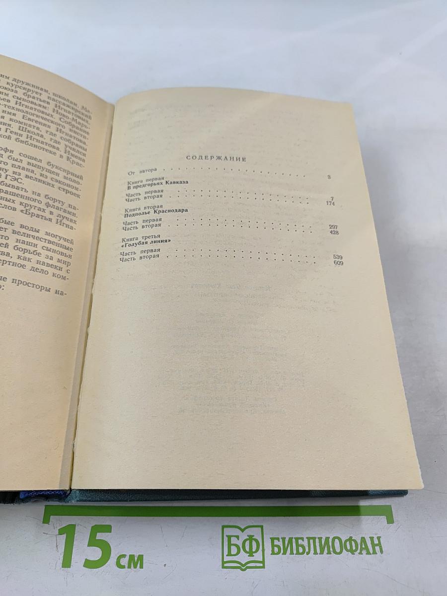 Записки партизана