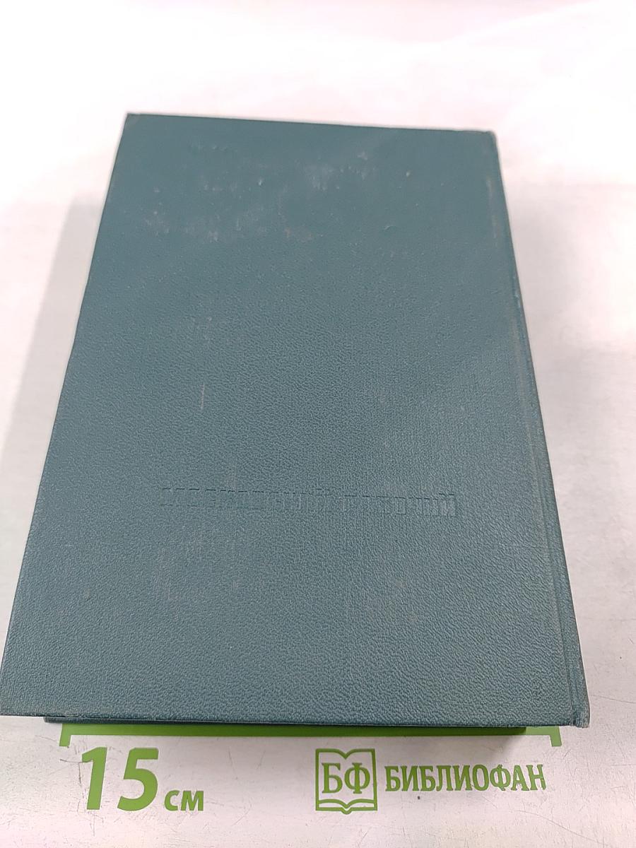 Записки партизана