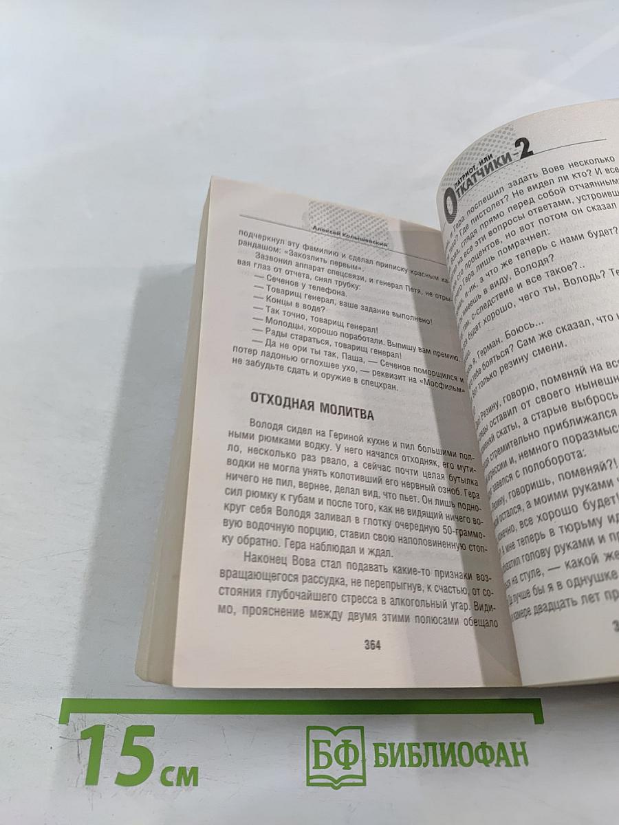 Патриот, или Откатчики 2. Роман о кремлевских «крысах»...