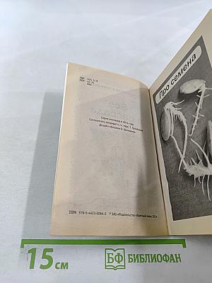 Всё о рассаде