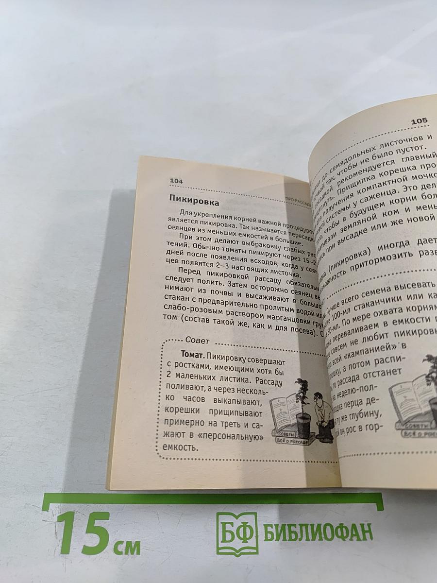 Всё о рассаде