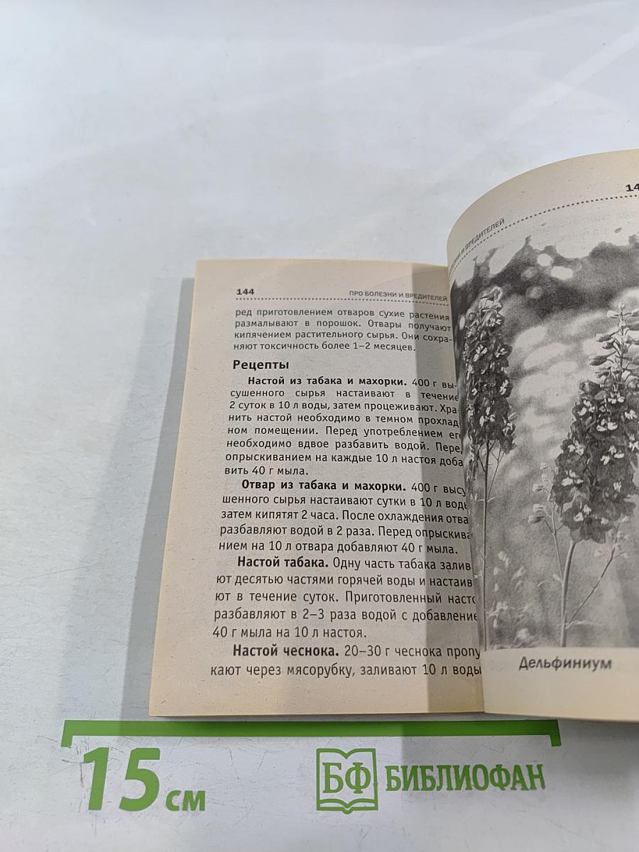 Всё о рассаде