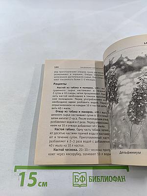 Всё о рассаде