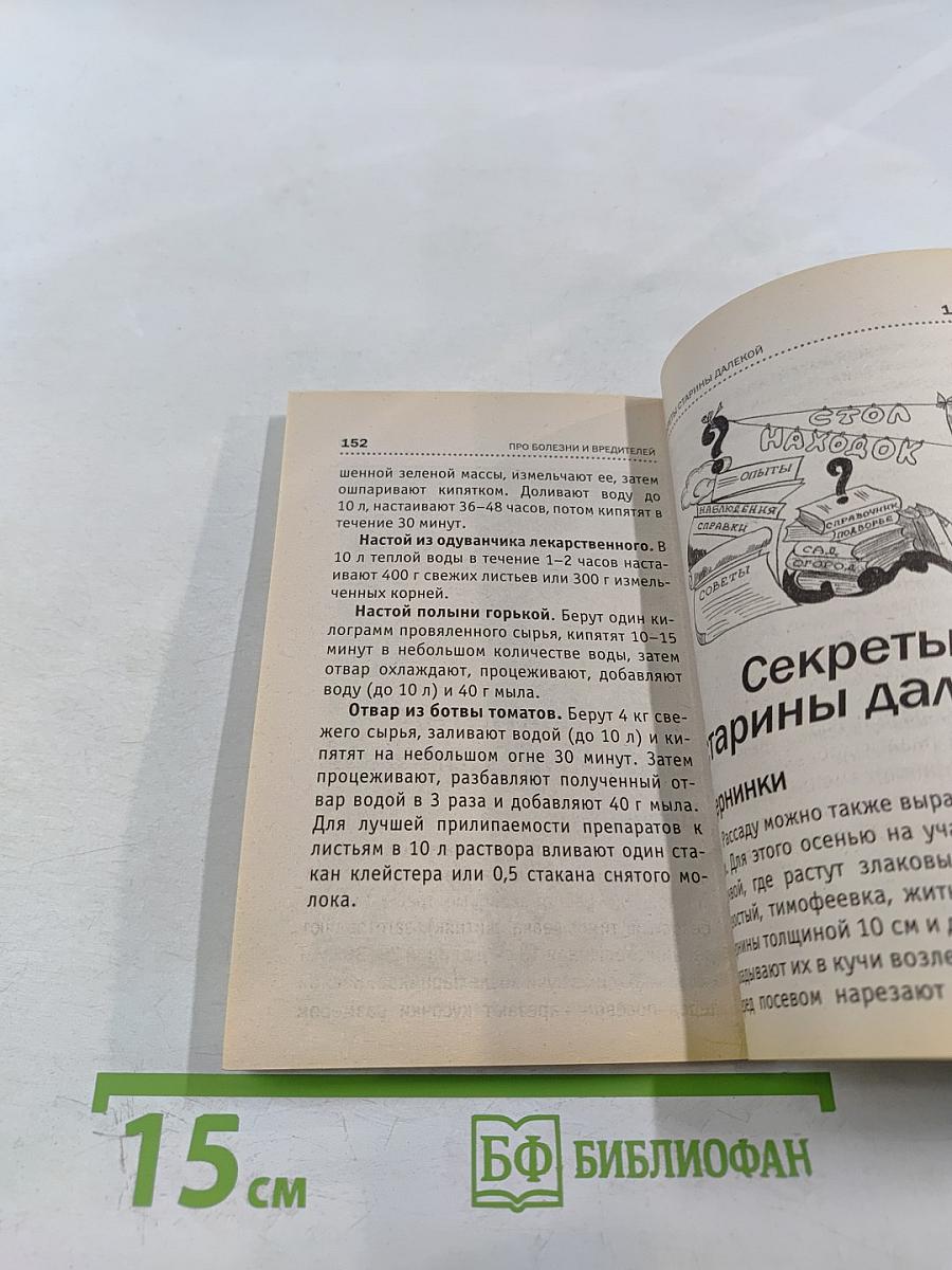 Всё о рассаде