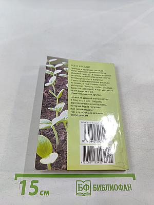 Всё о рассаде