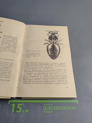 Пчелы-крылатые фармацевты