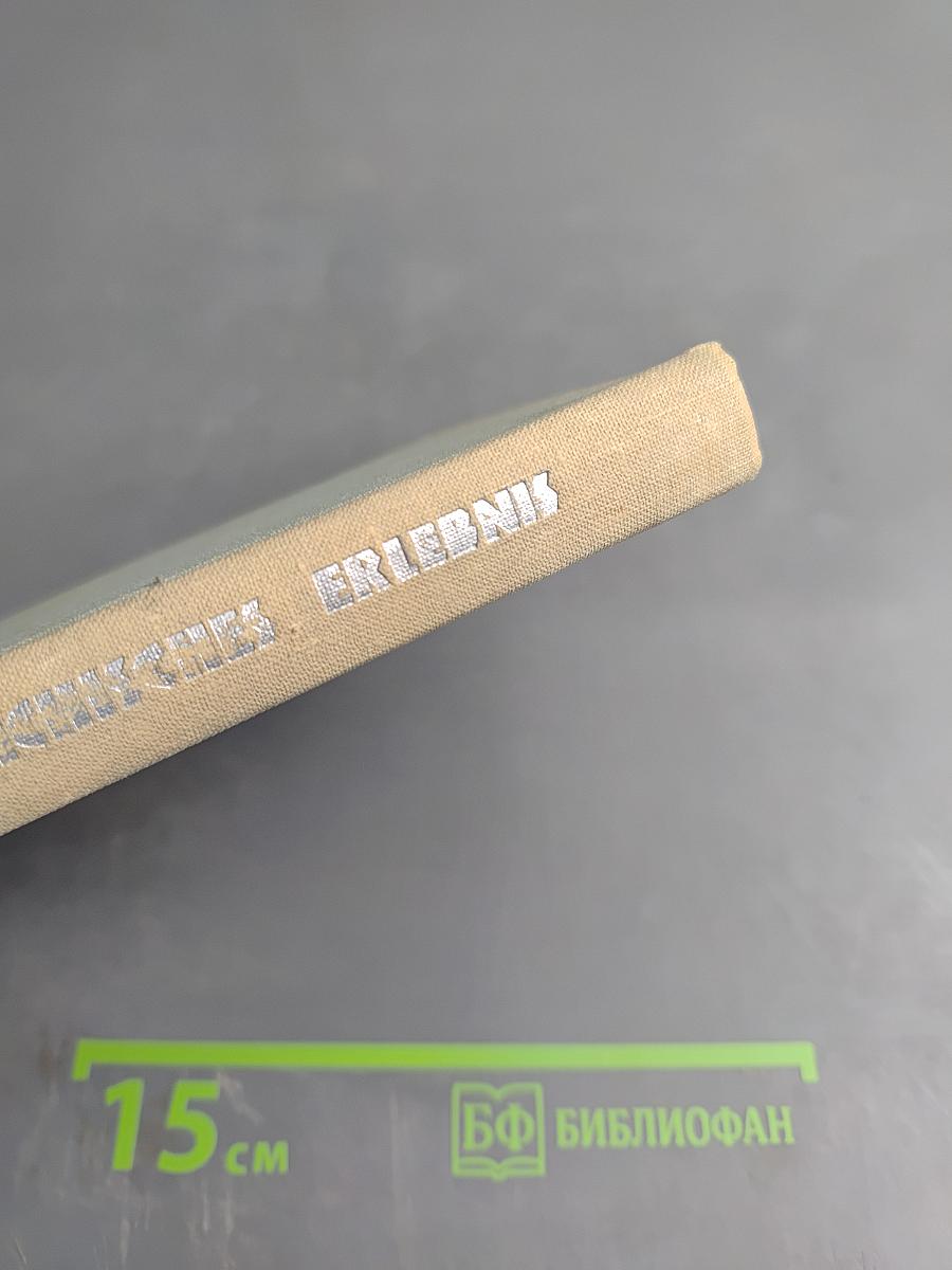 Österreichisches Erlebnis. Stichproben der österreichischen Prozakunst des 20. Jahrhunderts