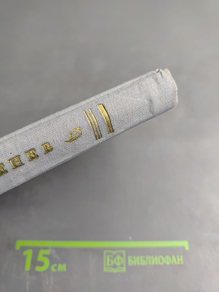 Ася. Первая любовь. Вешние воды