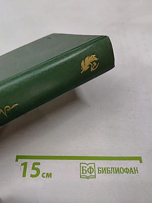 Достоевский и мировая литература