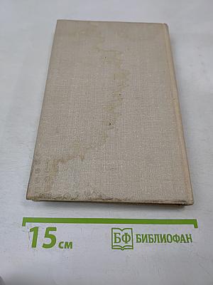 Именительный падеж