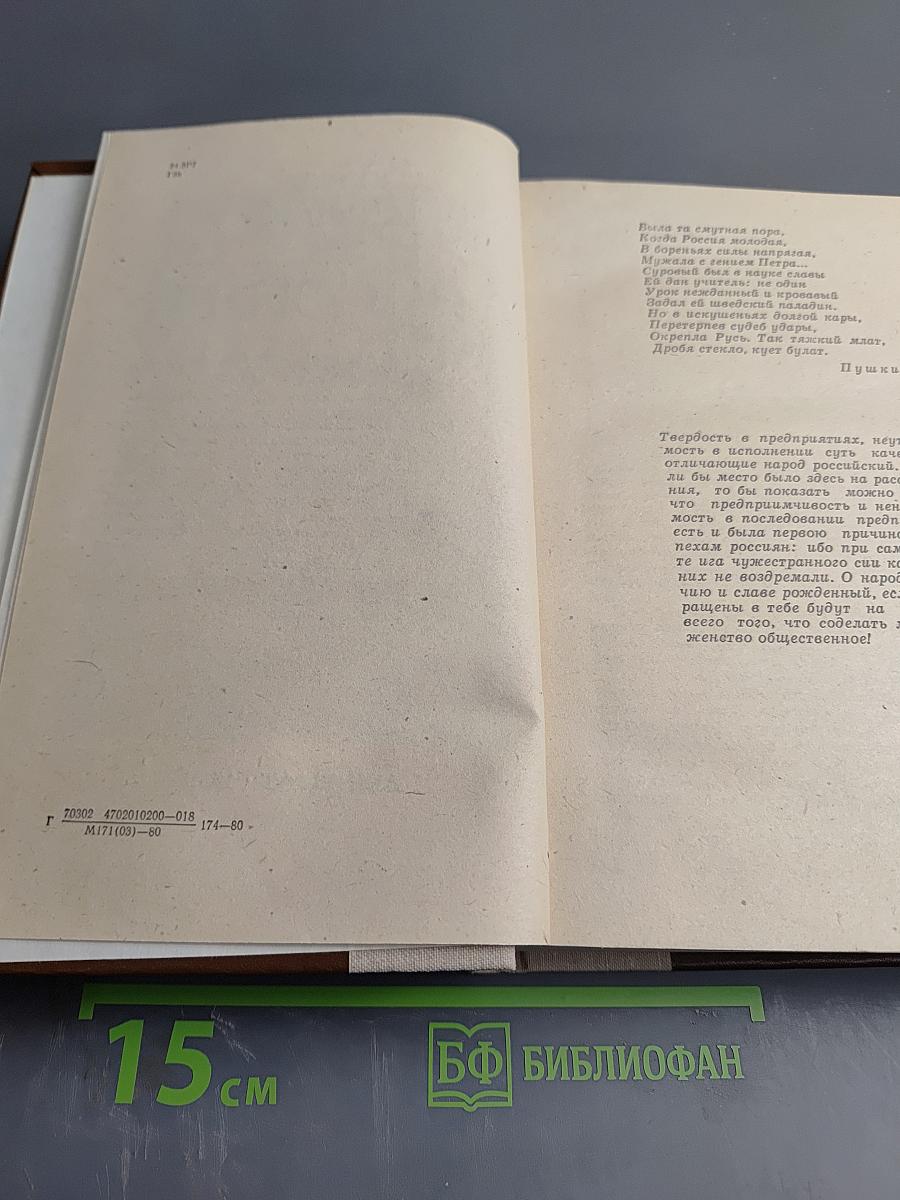 Россия молодая. Книга первая