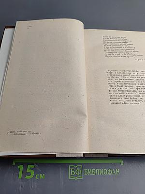 Россия молодая. Книга первая