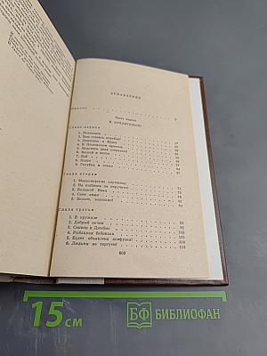 Россия молодая. Книга первая