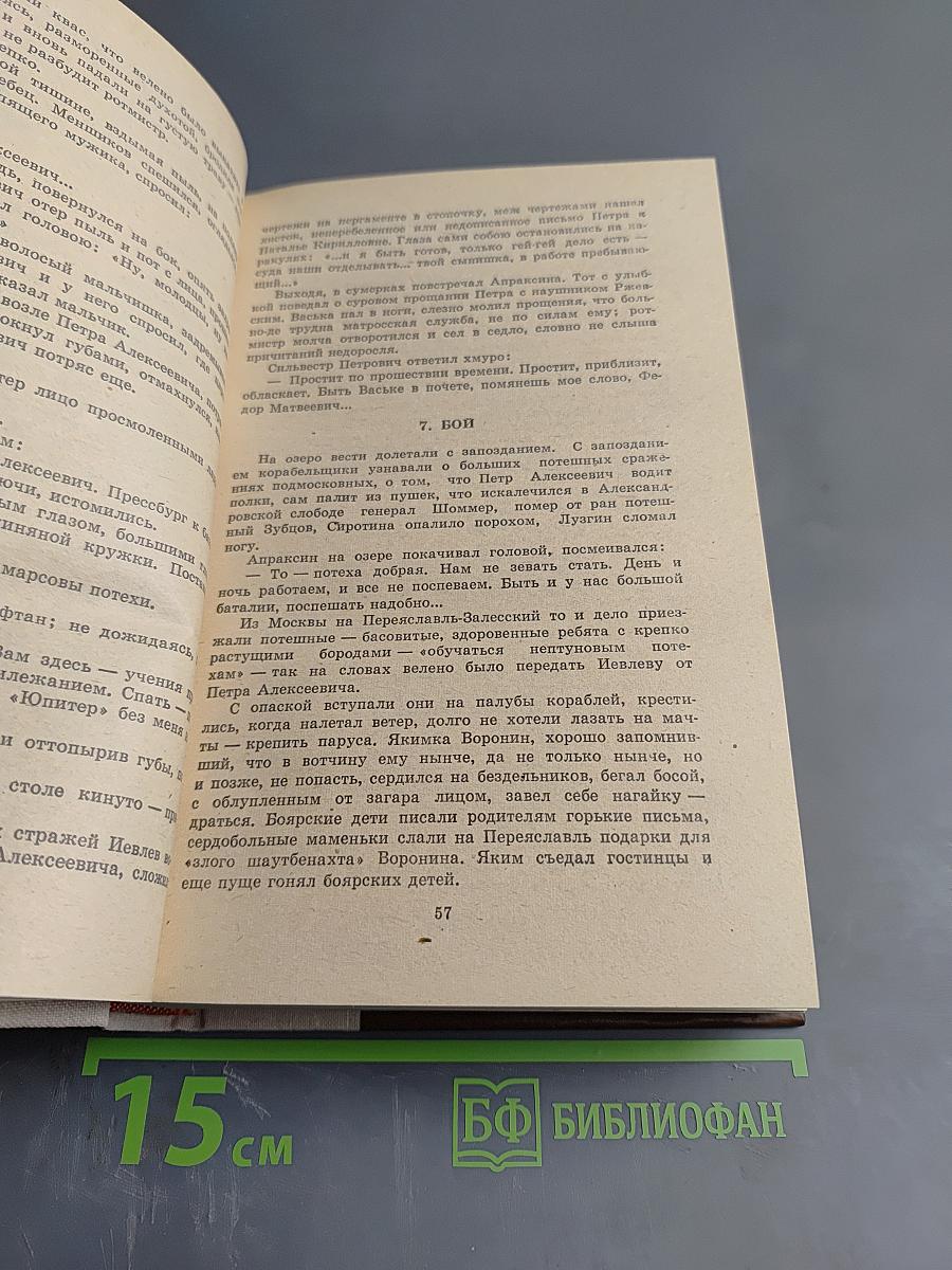 Россия молодая. Книга первая