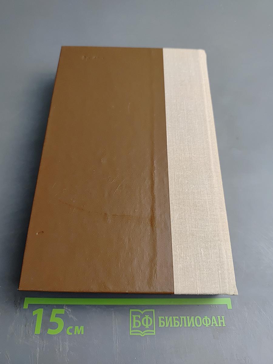 Россия молодая. Книга первая