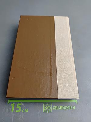 Россия молодая. Книга первая