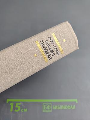 Россия молодая. Книга первая