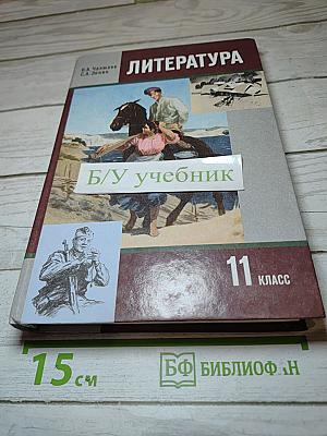 Литература 11 класс Часть II