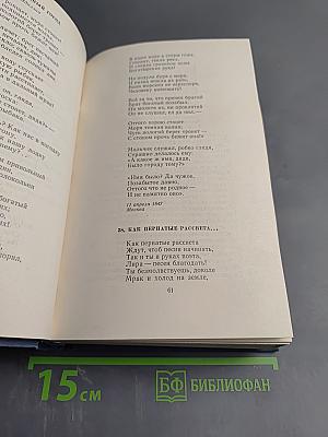 Поэты 1820-1830-х годов. Том второй