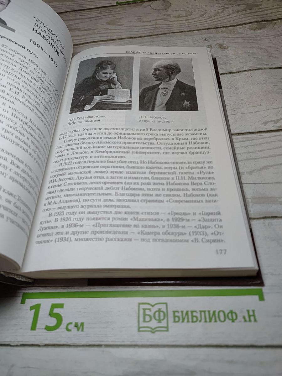 Литература 11 класс Часть II